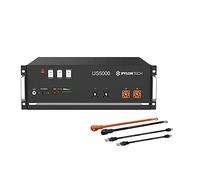 Pylontech 1 batterie LiFePO4 US5000 4,8 kWh avec kit de câbles de raccordement à l'onduleur