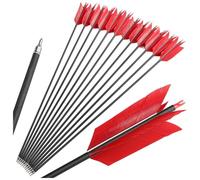 PYMUST 12 flèches en Carbone Contre la Grippe de 30 Pouces - 4 Plumes flottantes 100 Conseils de Judo en Grains pour la Chasse au Petit gibier et la Pratique de la Cible