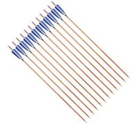 PYMUST 12 flèches en Carbone de 30 Pouces avec Plumes Naturelles de 4 Pouces - universelles pour Les arcs Classiques et composés, parfaites pour la Chasse et la Pratique du tir à l'arc (Blue)