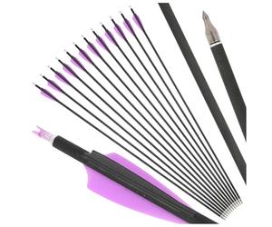 PYMUST 12 flèches en Carbone de tir à l'arc de 30 Pouces - Colonne vertébrale 500 flèches de Chasse et cibles pour Adultes, adaptées à la Chasse à l'arc à poulies, à l'arc Classique (Violet)