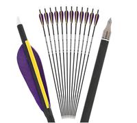 PYMUST 12pcs flèches en Carbone pour Le tir à l'arc Colonne vertébrale de 500 à 30 Pouces de Longueur avec des Plumes Naturelles de 4 Pouces et des Embouts Amovibles à 100 Grains (Violet)