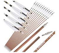 PYMUST Flèches Archery 31 Pouces en Carbone Pur, 12 pièces, Spine 340, 400, 500, 600, diamètre de la Tige 6,2 mm, Pointe de flèche 100 Grains, Plumes Naturelles (600SP)