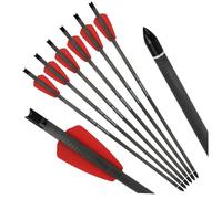 PYMUST Flèches Courtes en Carbone 15 Pouces - Pointe remplaçable de 6,2 mm de diamètre intérieur et 100 Grains pour Le tir à l'arc sur Cible (Red)