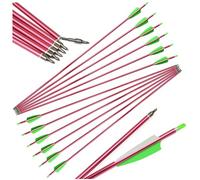 PYMUST Lot de 12 flèches en Aluminium de 80 cm (31,5 Pouces) - Colonne : 500 - Diamètre intérieur : 6,2 mm - Diamètre extérieur : 7,6 mm - Pointes de Rechange pour arcs Classique et à poulies - Acce