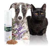 PYOclean Spray pour Chiens & Chats | Spray Purifiant Sans Rinçage | Soin Naturel pour Peaux Sensibles | Aide à Rééquilibrer la Flore Cutanée | 50 ml | Dermoscent