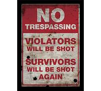 Pyramid Generic No Trespassing 30 x 40 cm Objet Souvenir