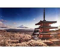 Pyramid Generic PP34083 Maxi Poster, Multicolore, 61 x 91.5 cm