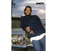 Pyramid Ice Cube F4C2A5514D Impala (Maxi Poster) Merchandising Ufficiale, Multicolore