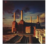 Affiche - Pink Floyd - Animals 12 Print Cover - 31x31cm G
