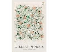 Pyramid International Affiche William Morris - Jasmine In Progress - Poster - 61x91,5cm