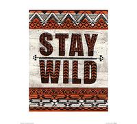 Pyramid International Barry Goodman PPR43620 Toile Imprimée, Multicolore, 40 x 50 cm