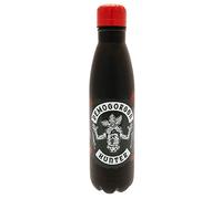 Pyramid International Bouteille d'eau en métal Stranger Things (design Demogorgon Hunter) 540 ml, produit officiel Stranger Things, noir