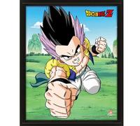 Dragon Ball Z Cadre 3d Lenticulaire Fusion