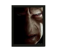 Pyramid International - Cadre lenticulaire 3d - Vrai effet de mouvement et de profondeur - Harry potter - Voldemort - Idée cadeau anniversaire - 25.5x20.5 - Licence officielle