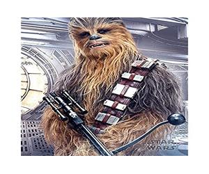 Pyramid International Chewbacca Bowcaster Star Wars Le Dernier Jedi Mini Poster Plastique/Verre Multicolore 40 x 50 x 1,3 cm