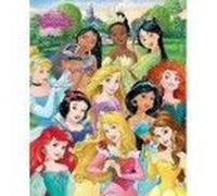 Pyramid International Disney Princess Mini Poster Plastique/Verre Multicolore 45 X 76 X 1,3 Cm