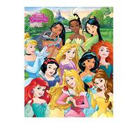 Pyramid International Disney Princess Mini Poster Plastique/Verre Multicolore 45 x 76 x 1,3 cm