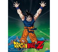 Pyramid International Dragon Ball Z 3D Lenticular Poster in Box Frame (S (Poche)