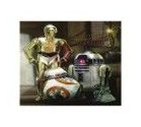 Pyramid International" Droids Star Wars Episode VII Mini Poster Plastique/Verre Multicolore 40 x 50 x 1,3 cm