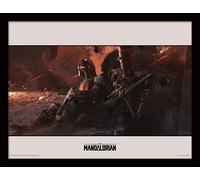 Pyramid International Fp12826p Affichages 1 Pièce(S)