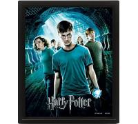 Pyramid International Harry Potter Poster lenticulaire 3D de l'Ordre du Phénix 25 cm x 20 cm x 1,3 cm dans un cadre boîte - Produit officiel