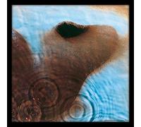 Pyramid International Image encadrée 31,5 x 31,5cm - Pink Floyd - Album Meddle
