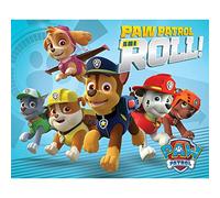 Pyramid International Mini poster « On A Roll Paw Patrol » en plastique/verre, multicolore, 40 x 50 x 1,3 cm