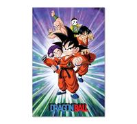 Pyramid International – Affiche Dragon Ball Son Goku & Fighters – de la première série 61 x 91,5 cm
