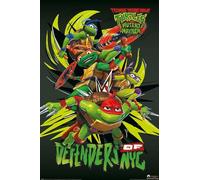 Pyramid International Poster Tortues Ninja Teenage Mutant Mayhem Defenders Of NYC