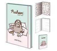 Pyramid International Pusheen Diary SR74096 Agenda semainier 2023 avec couverture rigide Format A5 Motif I'm Busy Design) Produit officiel Multicolore