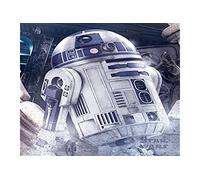 Pyramid International R2-D2 Droid Star Wars The Last Jedi Mini Affiche Plastique/Verre Multicolore 40 x 50 x 1,3 cm