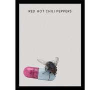 Pyramid International Red Hot Chili Peppers (I'm With You) Impression collector - 30 cm x 40 cm - Poster mural - Décoration musicale sous licence officielle - Taille unique