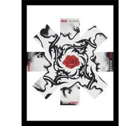 Pyramid International Red Hot Chili Peppers (Rose) Impression Collector - 30 cm x 40 cm - Poster mural - Décoration musicale sous licence officielle - Taille unique