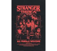 Pyramid International Poster Stranger Things 5 (All Friends Welcome) 91,5 cm x 61 cm (brodé), sous licence officielle Netflix, taille unique