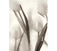 Pyramid International WDC44967Ryuijie Douglas 60 x 80 cm Ice Form 7 CanvasToile imprimée sur cadre en mdf - canvas