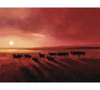 Pyramid International WDC4964Jonathan Sanders 60 x 80 cm Zebu at Dusk CanvasToile imprimée sur cadre en mdf - canvas