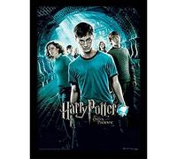Pyramid International Wizarding World Harry Potter (Order of The Phoenix) 30 x 40 cm Objet Souvenir