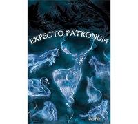 Pyramid International Wizarding World Harry Potter (Patronus) 61 x 91.5 cm Maxi Poster, Multicolore
