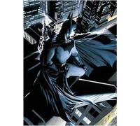 pyramid intl Cristal Batman Watcher verre affiche DC Universe Officiel Merchandising Ornements meubles autocollants Home Decor, Multicolore (Multicolore), unique