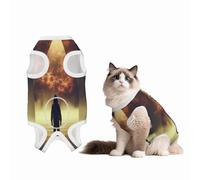 Pyramides in Flames Combinaison de convalescence pour chiens et chats après une chirurgie