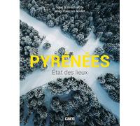 PYRÉNÉES État des lieux - Jean-François Soulet - Editions Cairn - broché - Essai