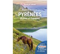 Pyrénées (France Et Espagne) (1 Plan Détachable)