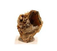 PYRITE + CALCITE + DOLOMITE en provenance de FRANCE, Lamalou-les-Bains - Pierre Naturelle avec Certificat d'Authenticité Inclus 13.0 ct - 18 x 12 x 11 mm G
