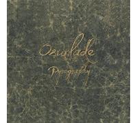 Pyrography/With 32 Page Deluxe Art Book