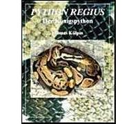 Python Regius. Der Königspython