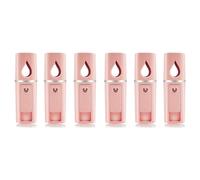 Pyugxab Lot de 6 mini nébuliseurs portables pour le - Avec rose