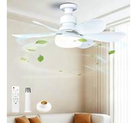 PZCC Ceiling Fan with Light and Remote Control,52 cm,Dimmer 30 W 1800 Lumen 3000-6500 K,3 Colours & 3 Speed,with E27 Socket,Small Model for Bedroom,Kitchen,Bathroom