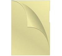 Q-Connect KF00308 Lot de 100 pochettes perforées Jaune grainé Format A4