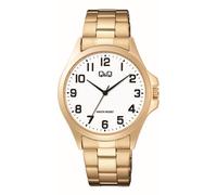 Montre Homme Q&Q C36A016PY bracelet