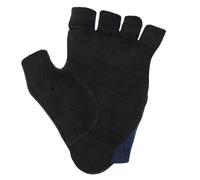 Q36.5 Gants Courts Dottore Pro Summer